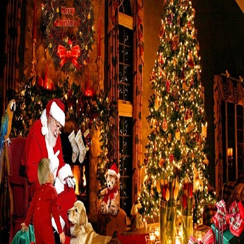 December Festivals in India