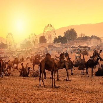 November Festivals in India