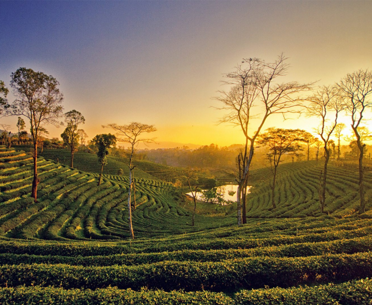 Assam