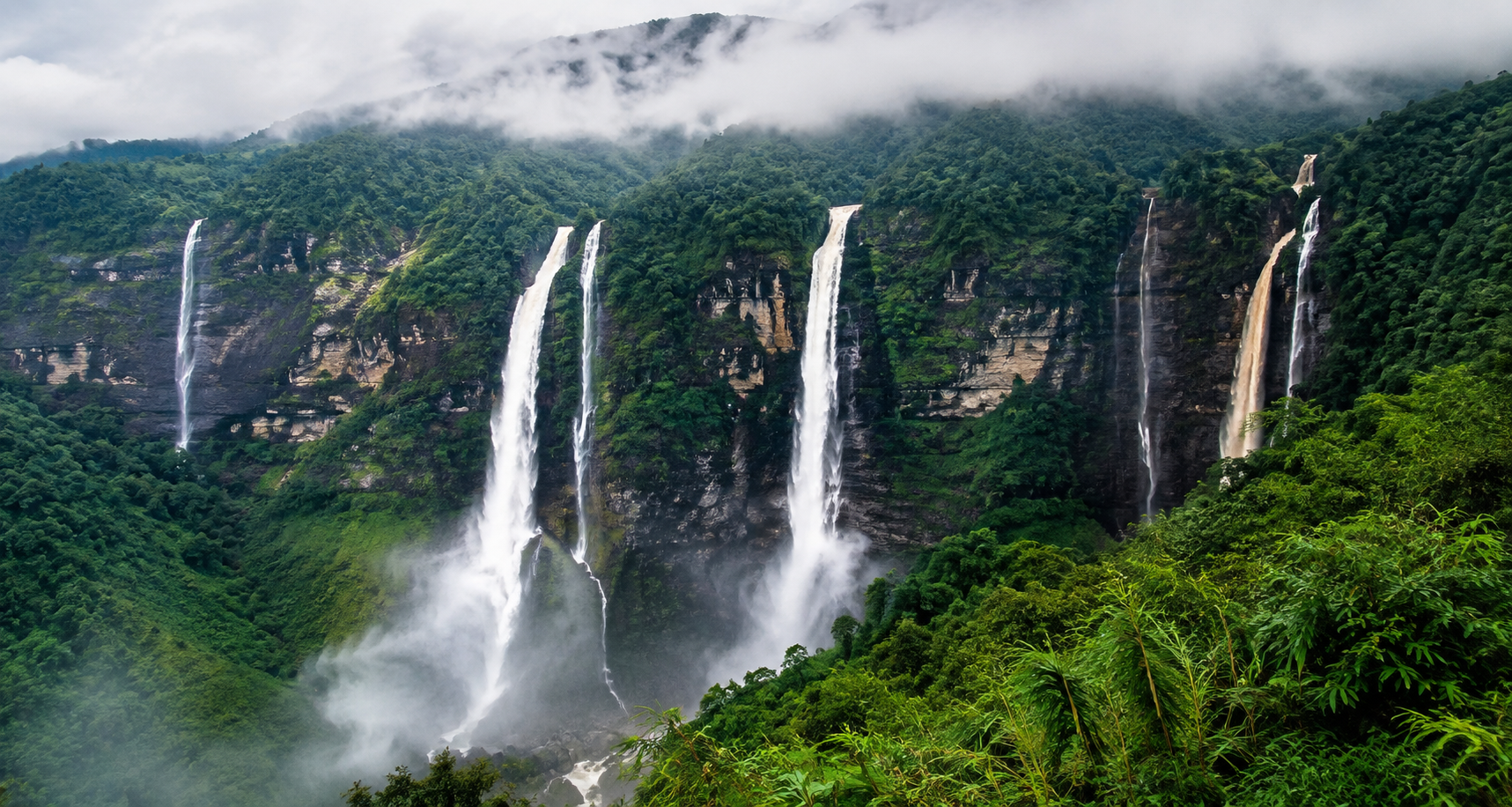 Trip Tastic Tours Travel Experience