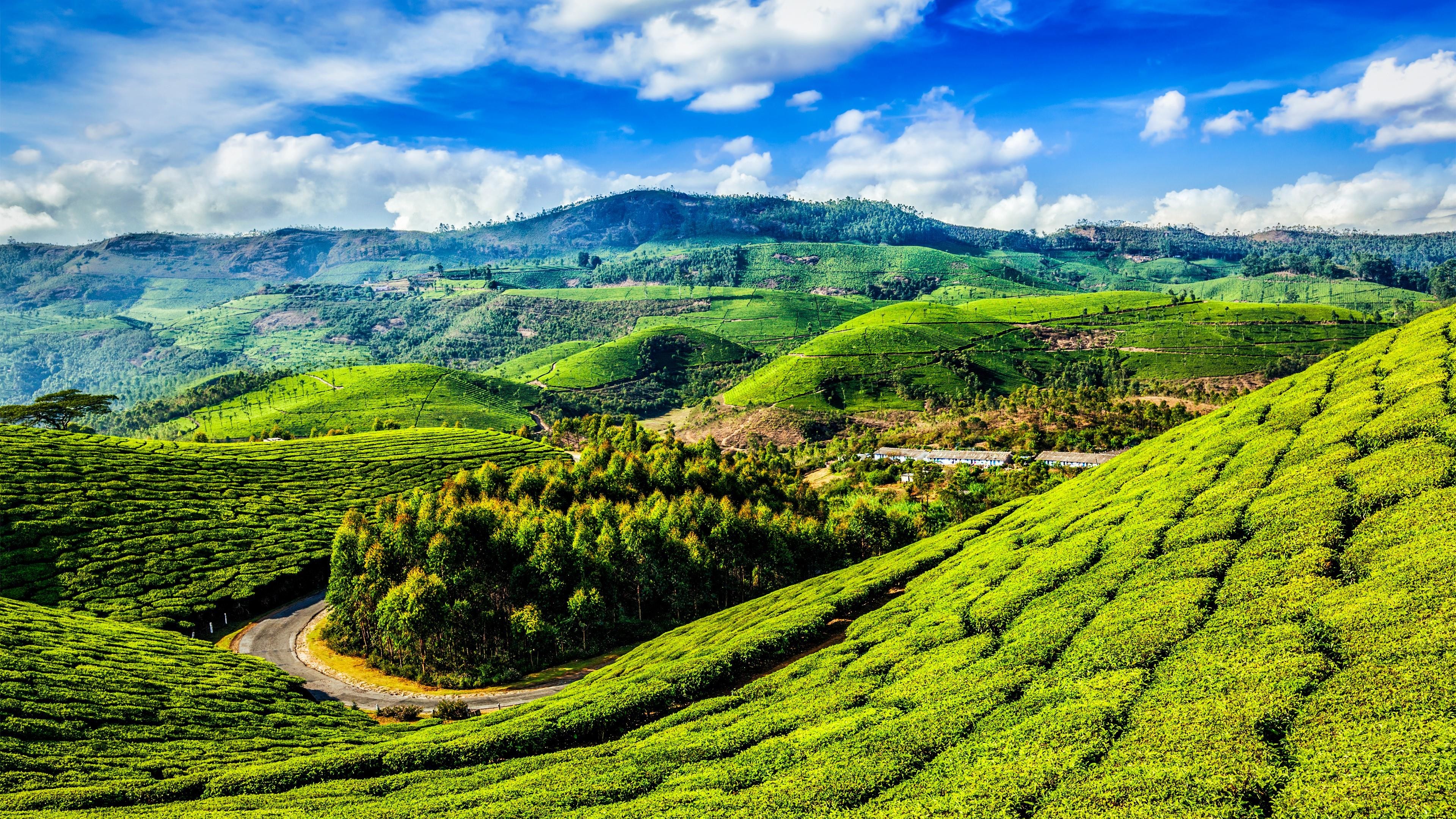Assam Tour Package