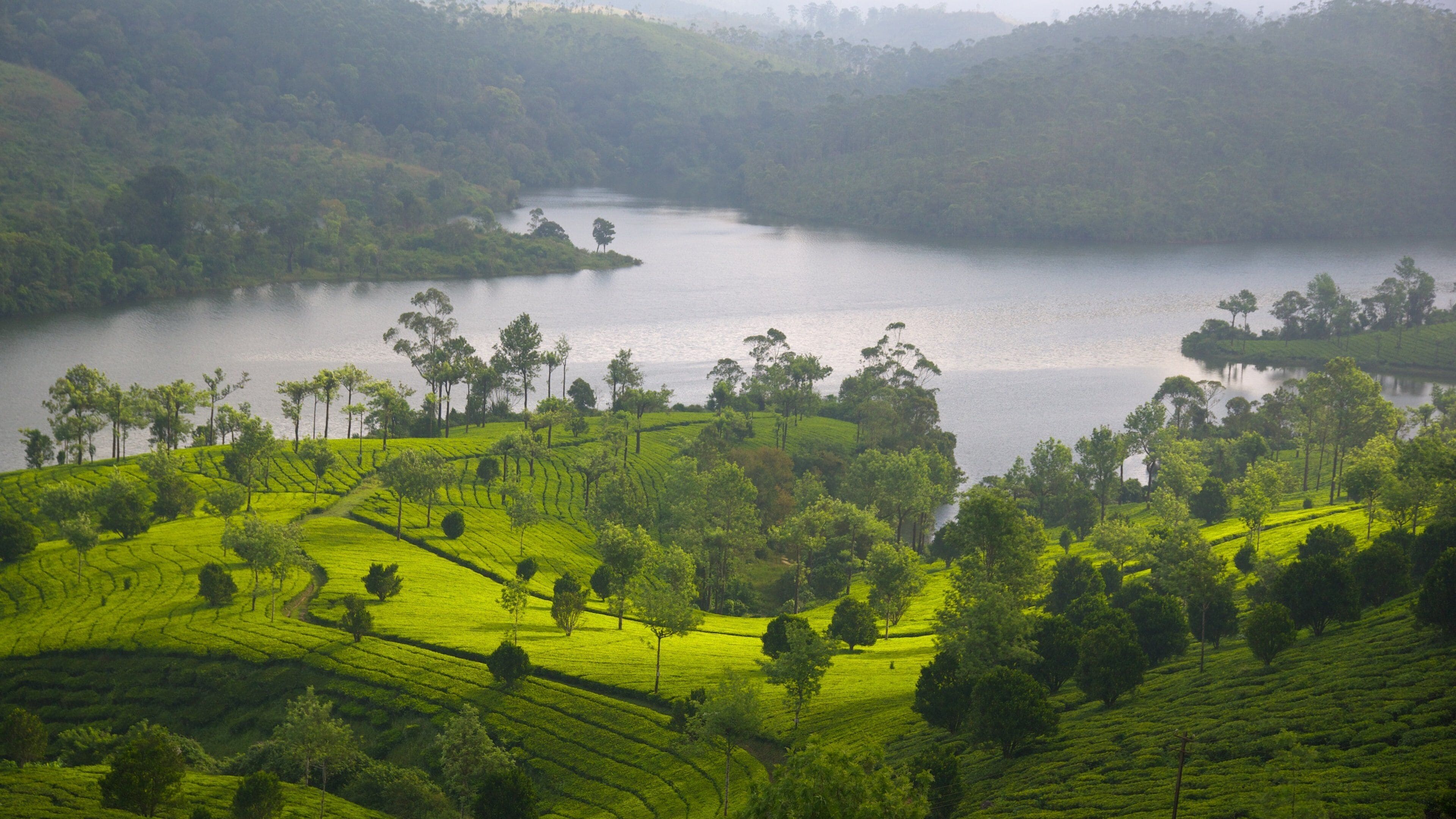 Arunachal