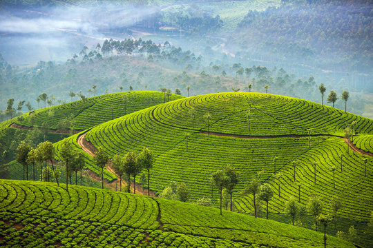 Arunachal
