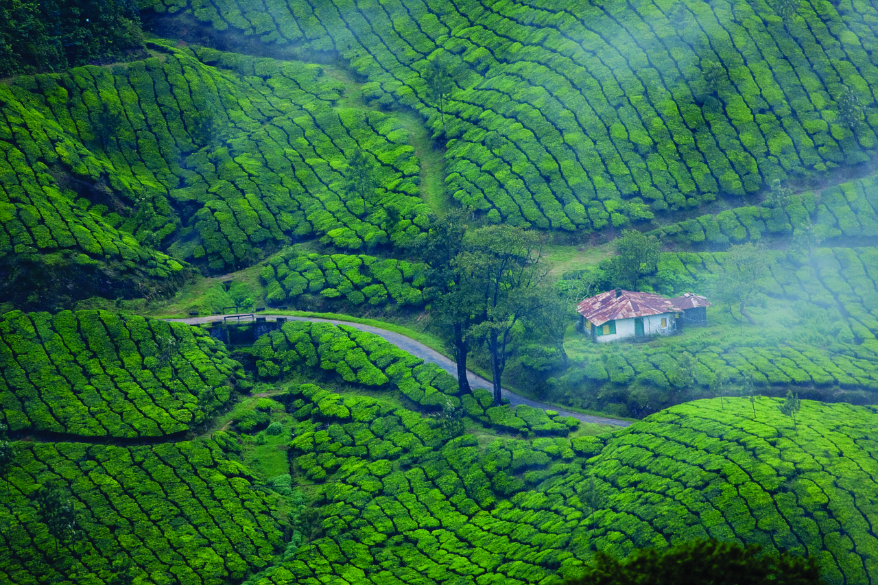 Arunachal