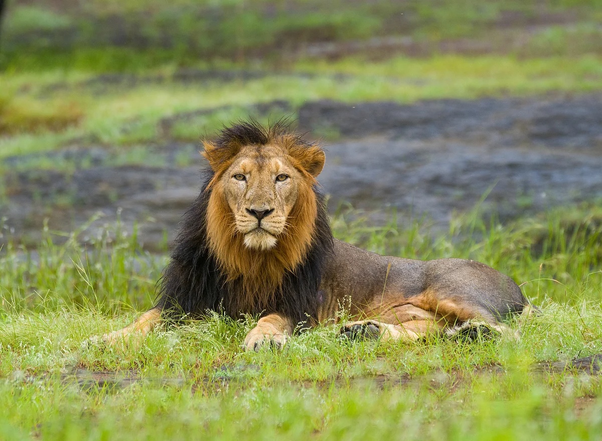 Sikkim Tour Package