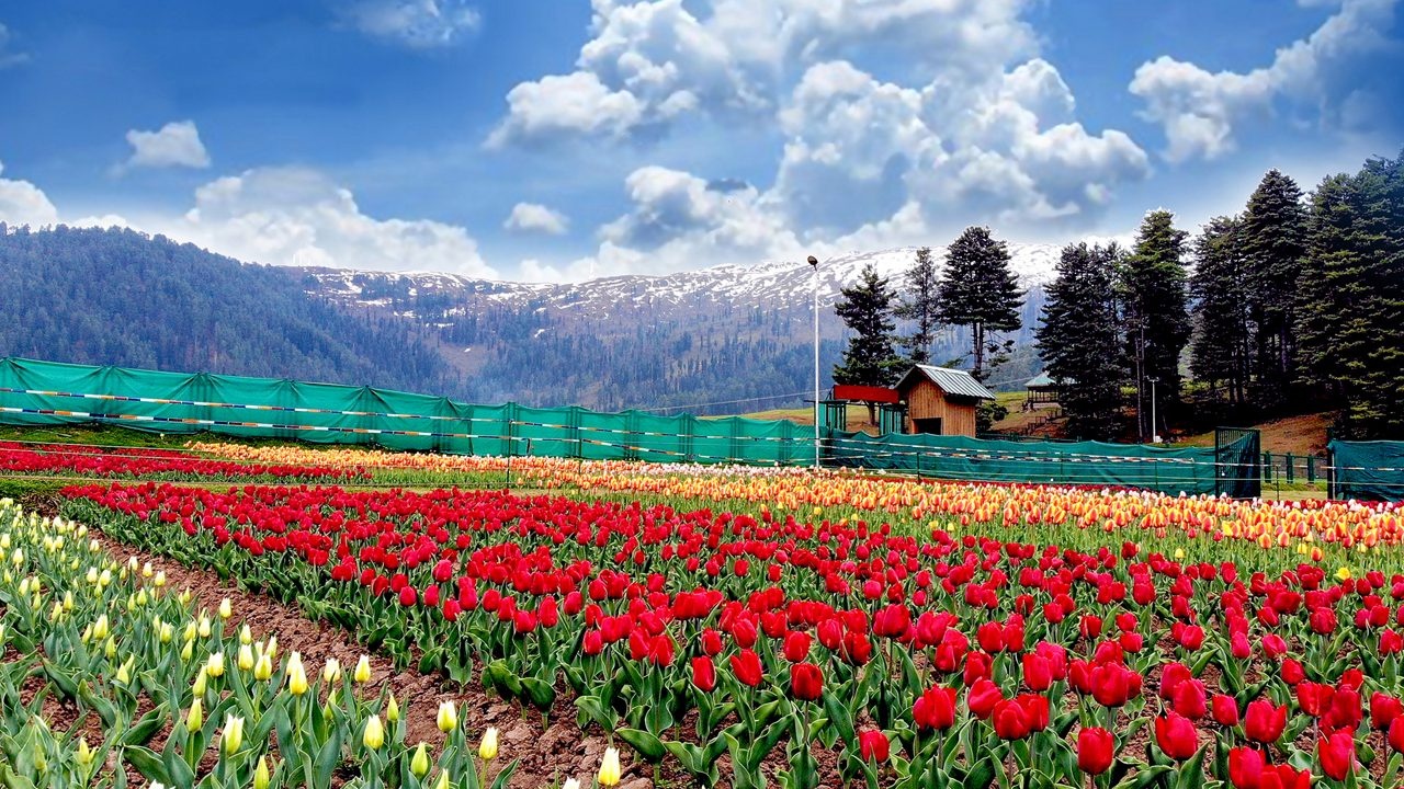 Meghalaya Tour