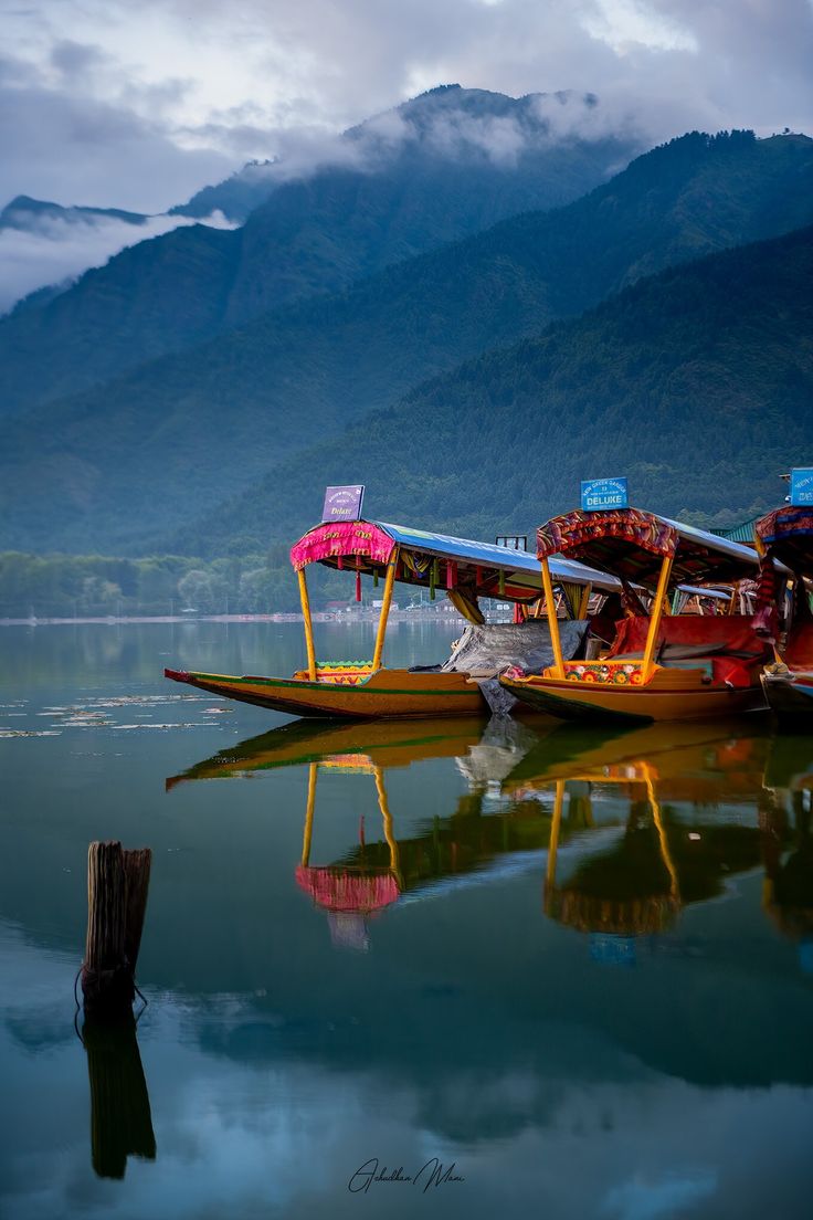 Meghalaya Tour