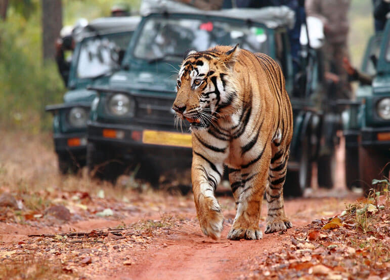 Sikkim Tour Package
