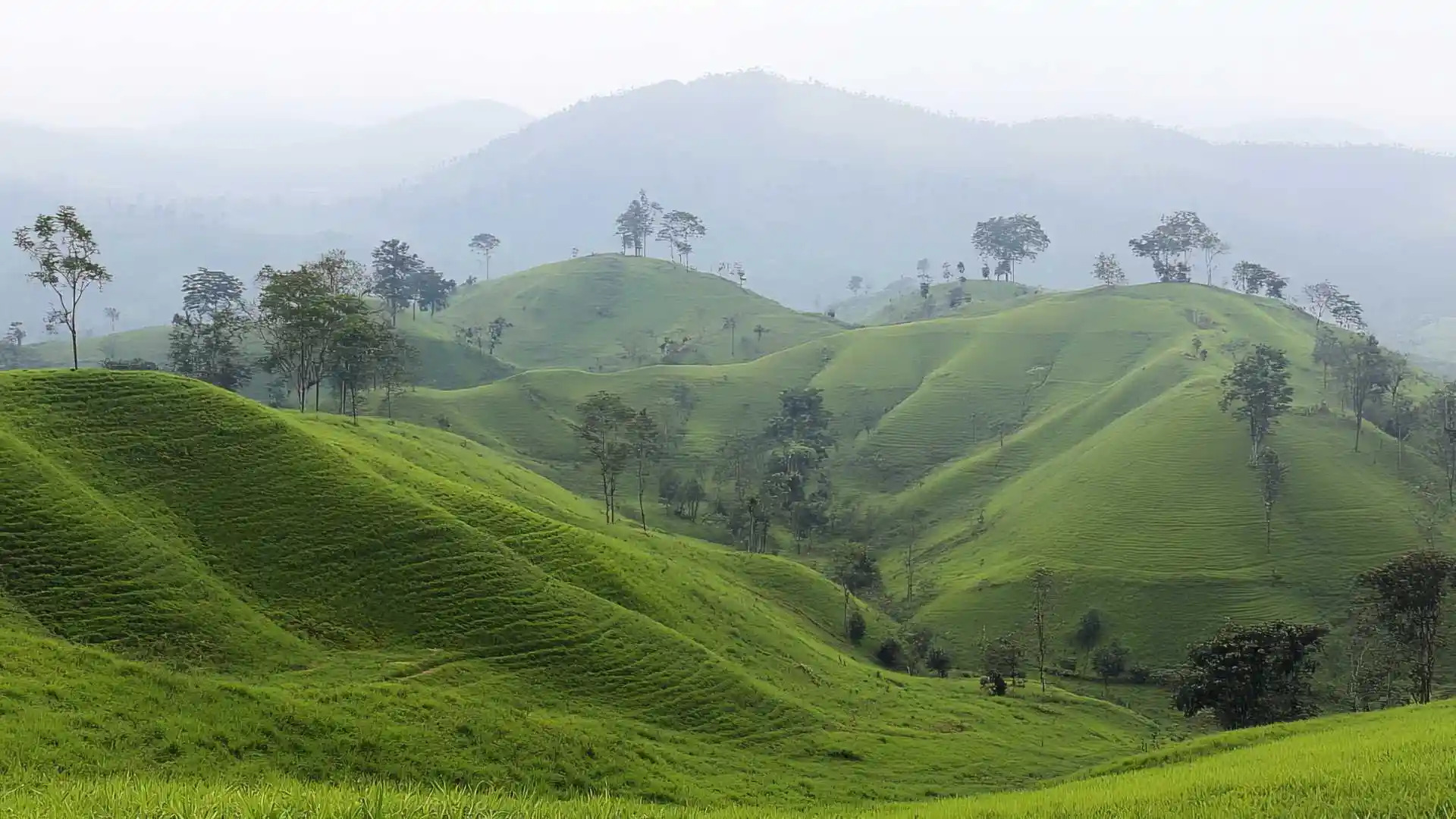 Gangtok Tour Package
