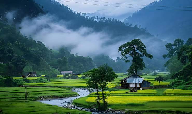 Meghalaya Tour
