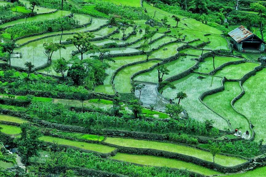 Meghalaya Tour