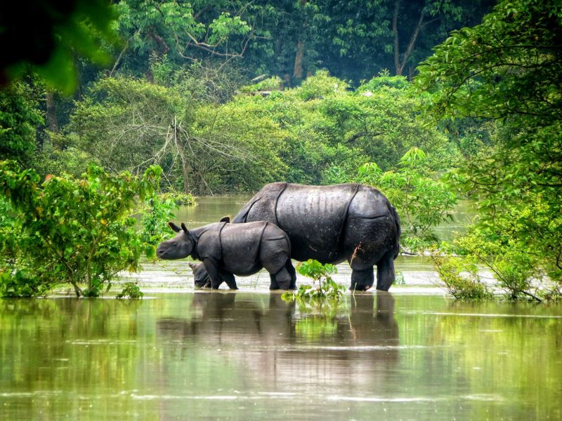 Meghalaya Tour
