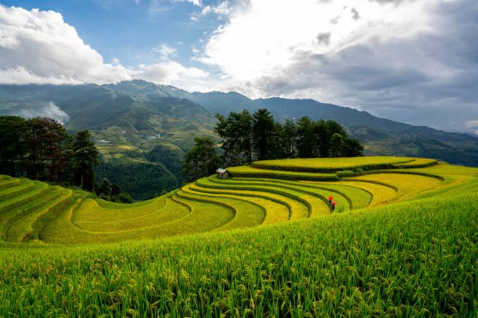 Meghalaya Tour