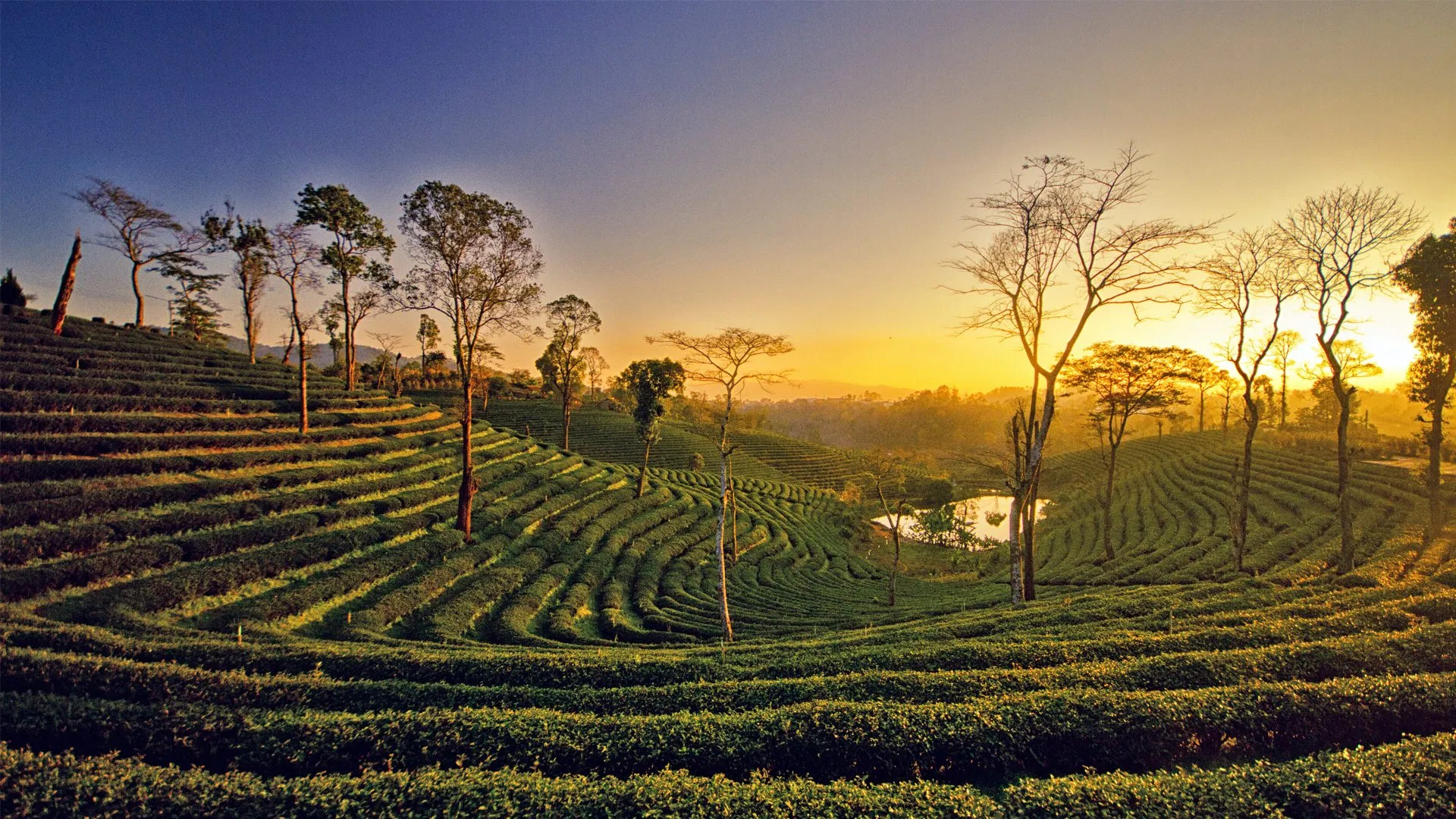Arunachal