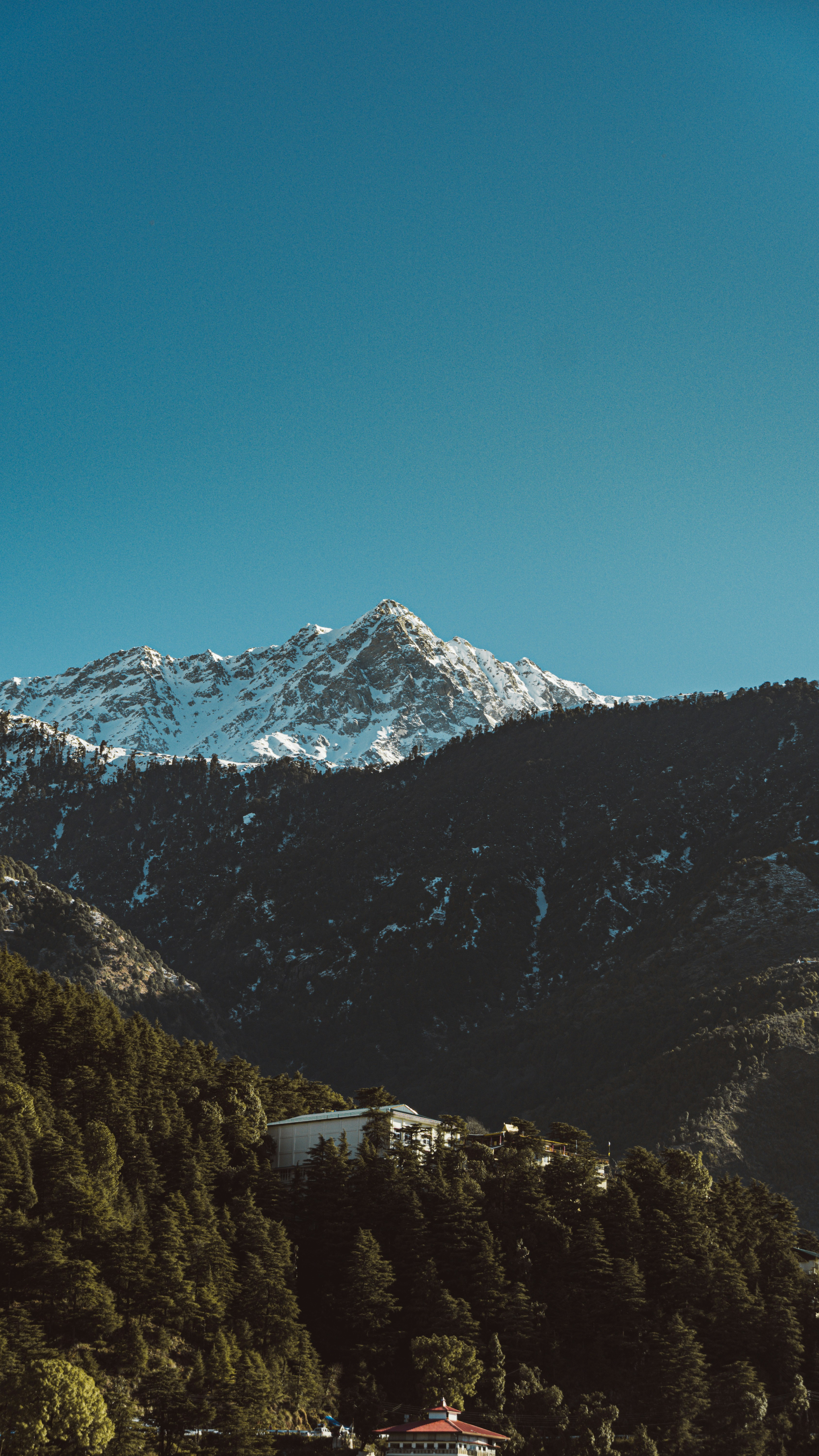 Sikkim Tour Package