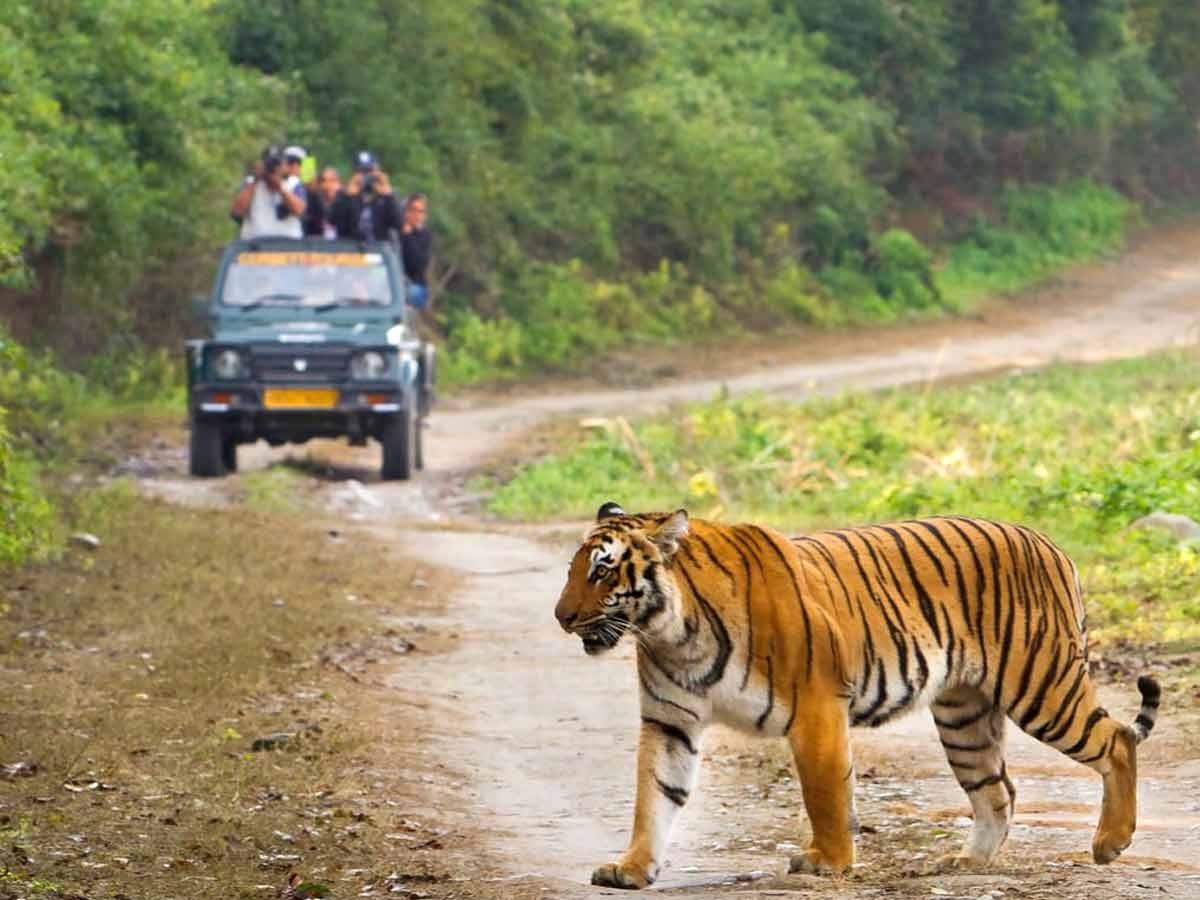 Arunachal