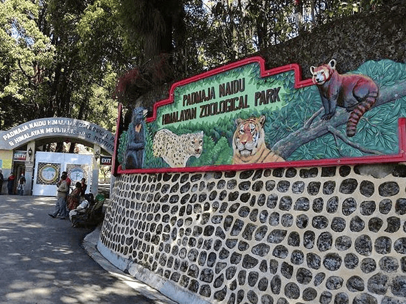 Meghalaya Tour