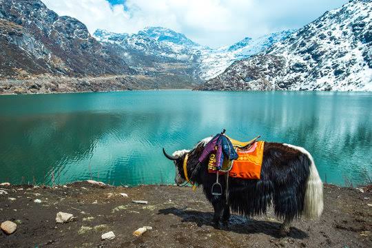 Arunachal